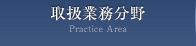 取扱業務分野 Pratice Area